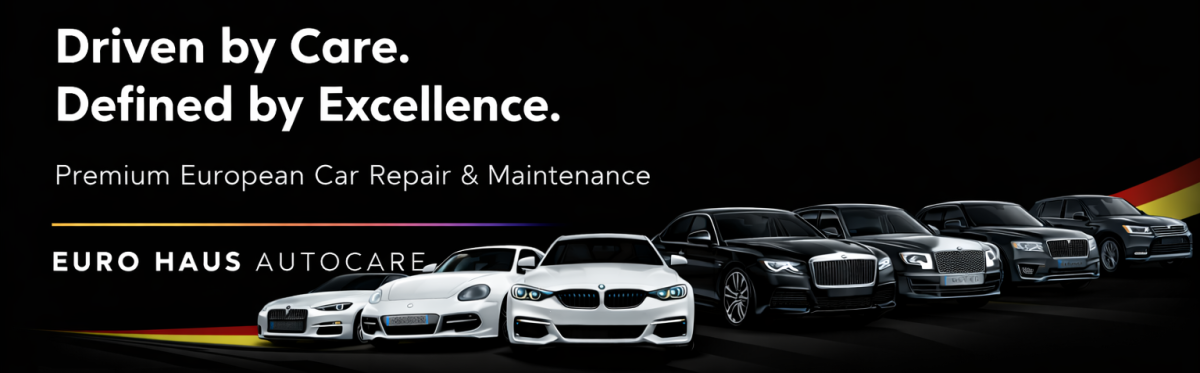 Euro Haus Autocare