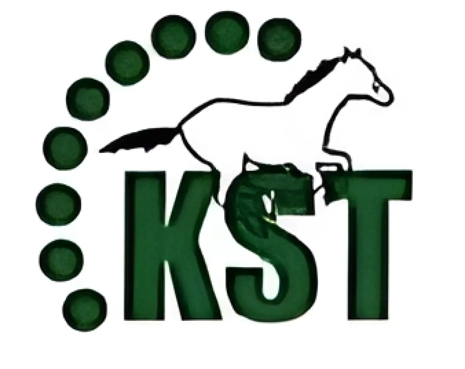 Kuwait Star Technical Works