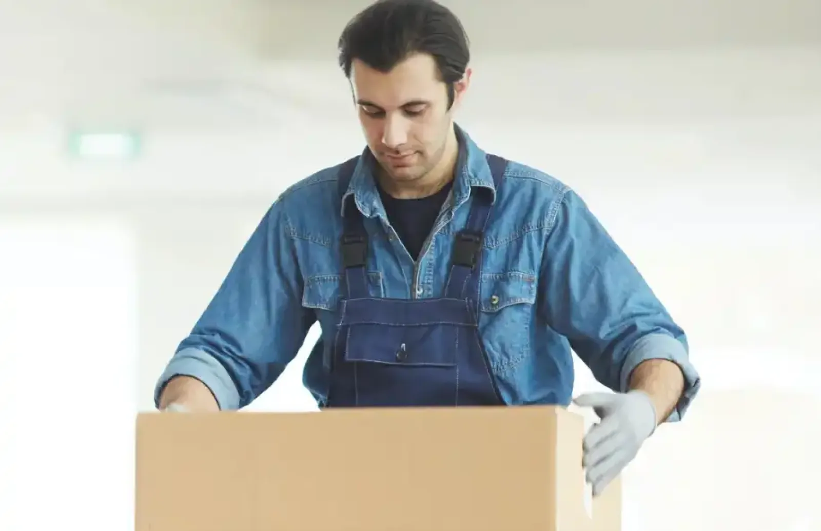Mister Packer Cargo Services L.L.C