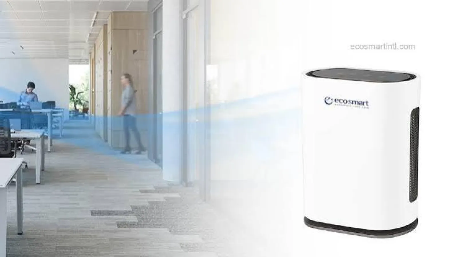 Ecosmart International LLC