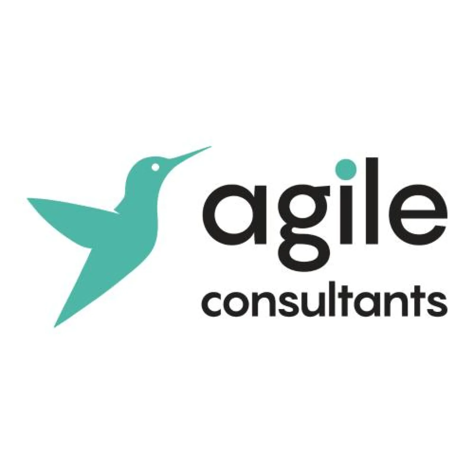Agile Consultants LLC-FZ