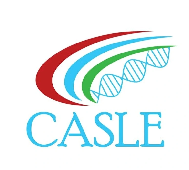 Castle logo
