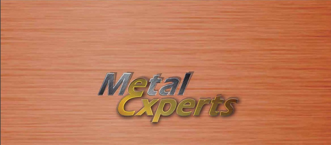 METAL EXPERTS STEEL FABRICATION L.L.C